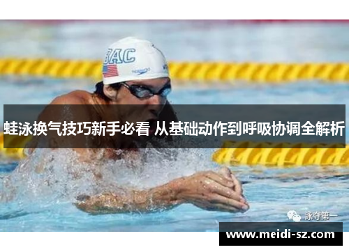 蛙泳换气技巧新手必看 从基础动作到呼吸协调全解析
